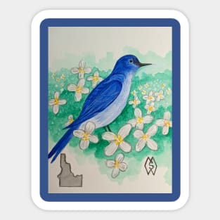 Idaho state bird and flower, the mountain bluebird and syringa Sticker